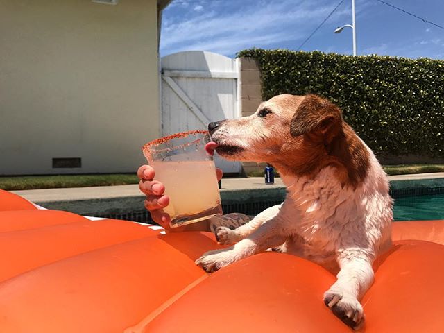 The dog days of summer.
