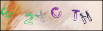 Registration Image