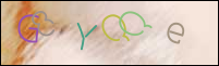 Registration Image
