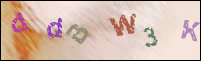 Registration Image