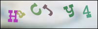 Registration Image