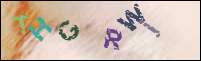 Registration Image