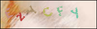Registration Image