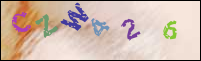 Registration Image