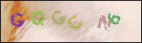 Registration Image