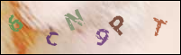 Registration Image