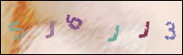 Registration Image