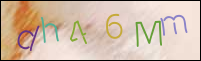 Registration Image