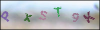 Registration Image
