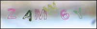 Registration Image