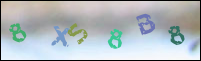 Registration Image