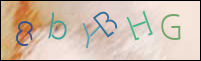 Registration Image