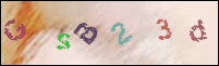 Registration Image