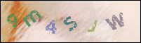 Registration Image
