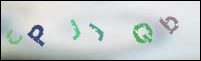 Registration Image
