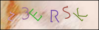Registration Image