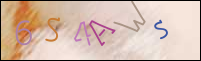 Registration Image