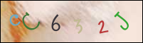 Registration Image