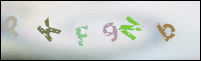 Registration Image