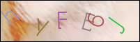 Registration Image
