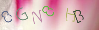 Registration Image