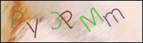 Registration Image