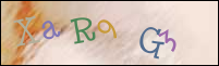 Registration Image