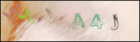Registration Image