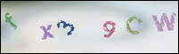 Registration Image