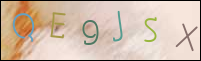 Registration Image