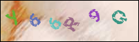 Registration Image