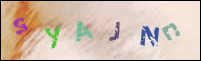 Registration Image