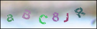Registration Image
