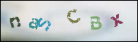 Registration Image