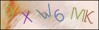Registration Image