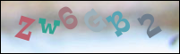 Registration Image