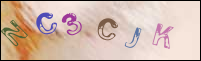 Registration Image