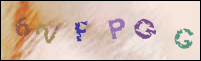 Registration Image