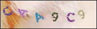 Registration Image