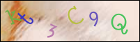 Registration Image