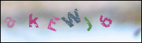 Registration Image