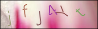 Registration Image