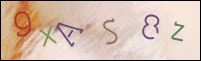 Registration Image