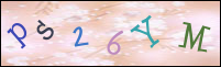 Registration Image