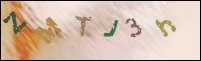 Registration Image
