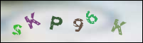 Registration Image
