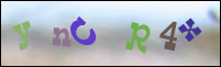 Registration Image