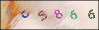 Registration Image