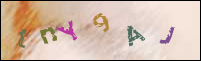 Registration Image