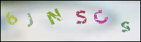 Registration Image